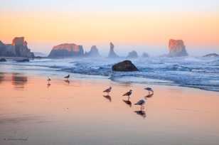 Bandon Beach-3143